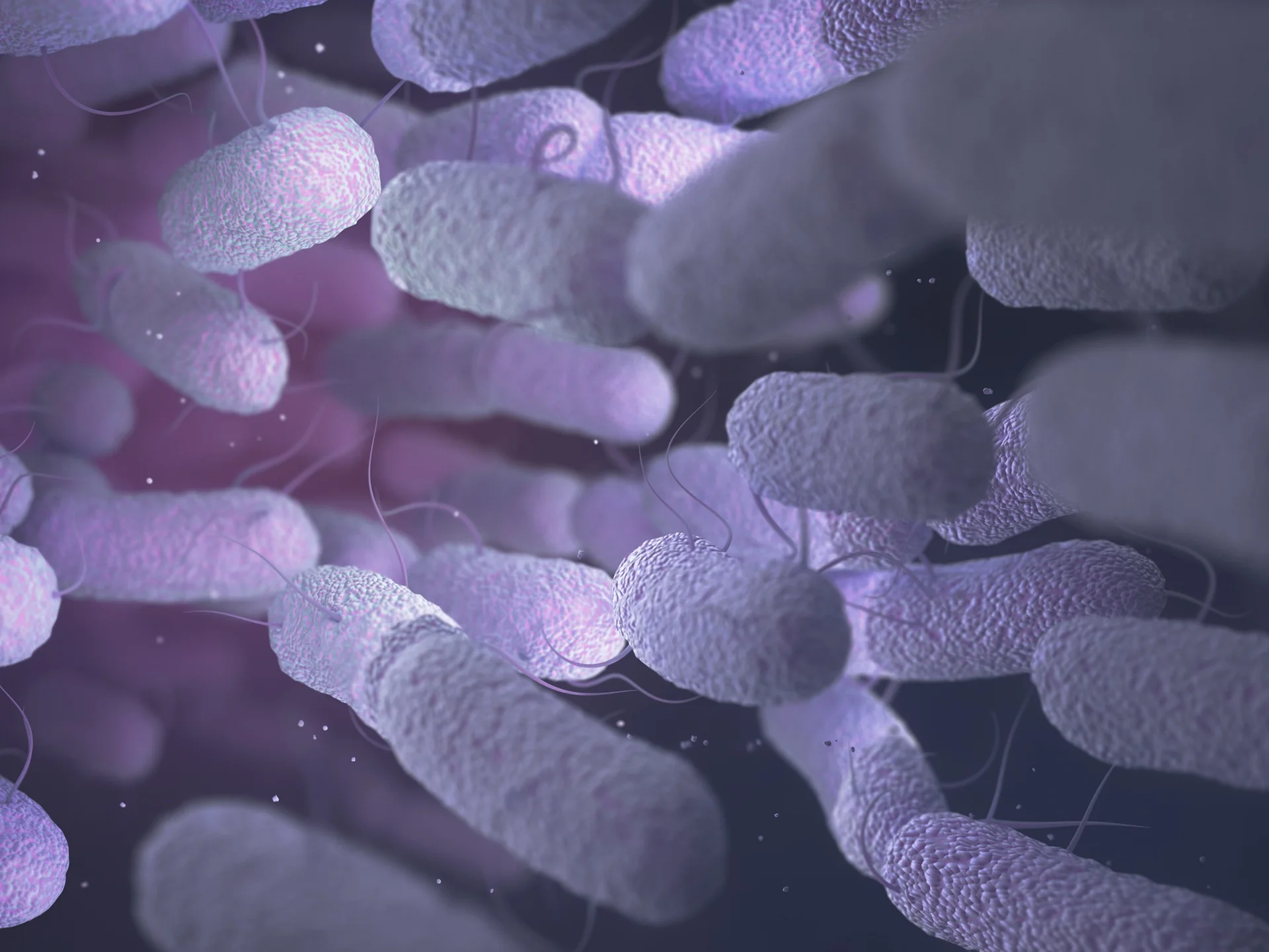 The Relationship Between Human Gut Microbiota and Health