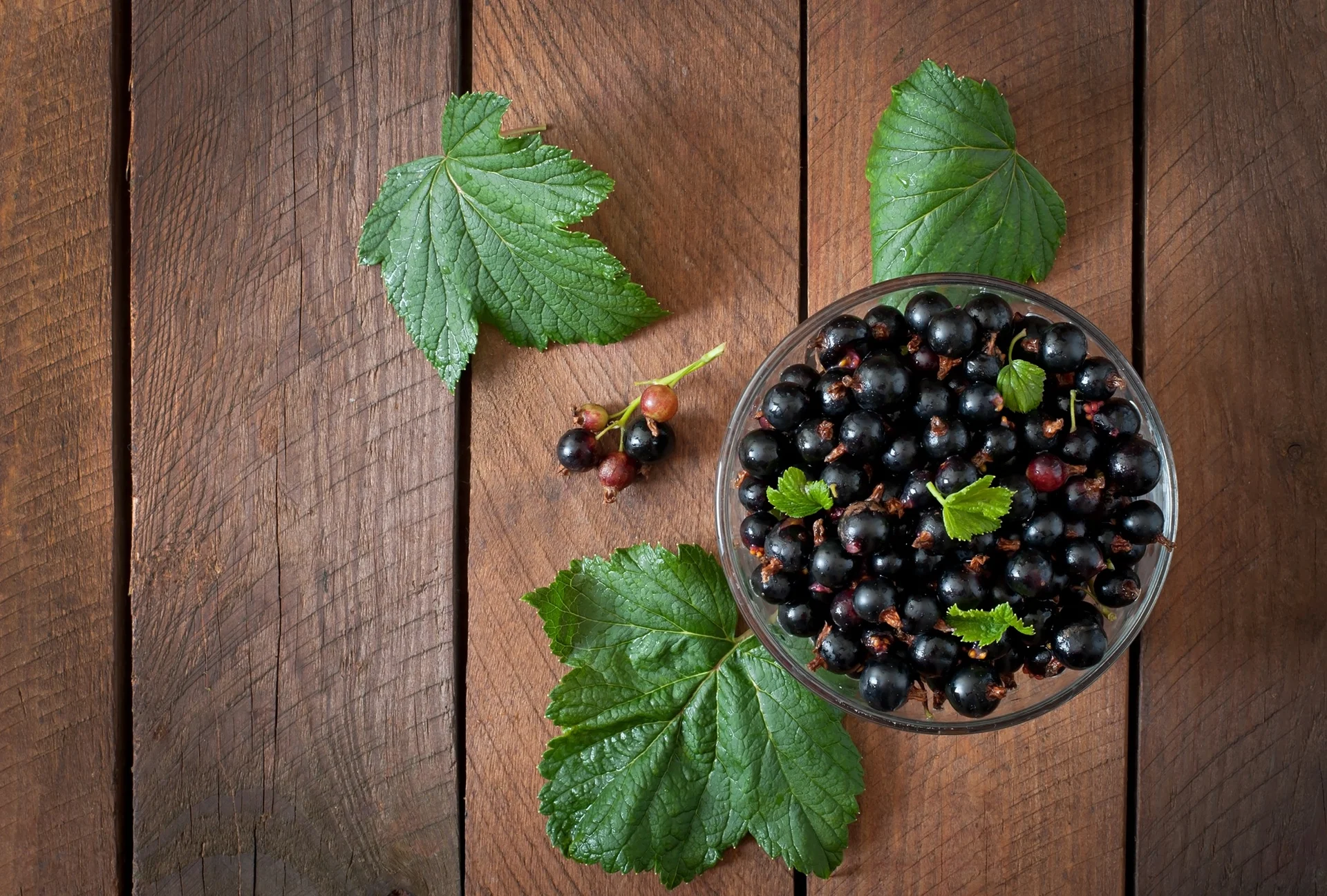 Resveratrol ve Endüstriyel Bilimin Gücü